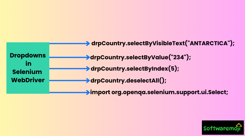 How to Handle Dropdowns in Selenium WebDriver: A Complete Guide Best Opportunity-2025