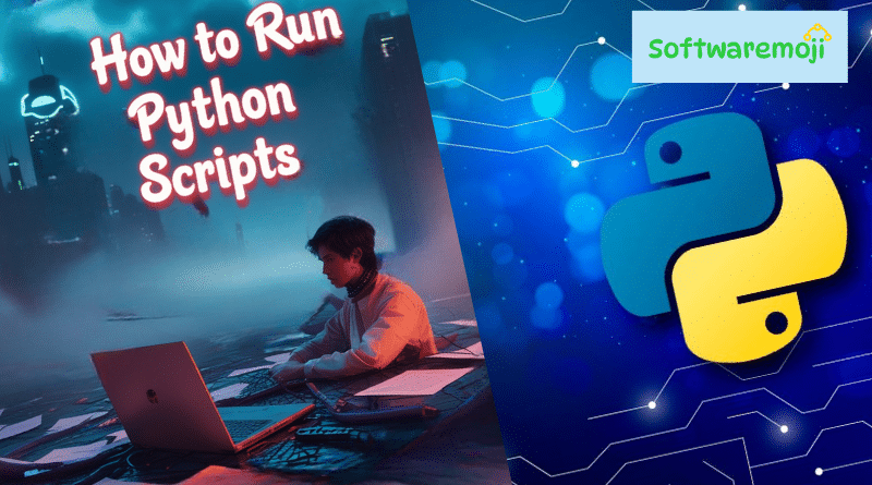 How to Run Python Scripts