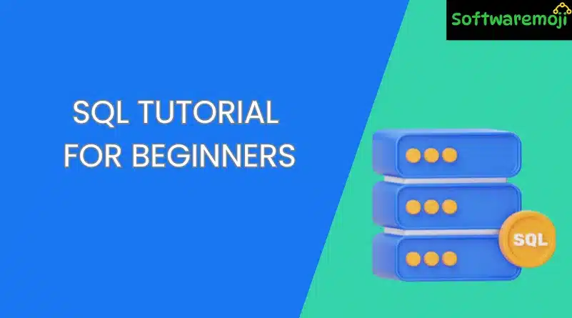 SQL Tutorial for Beginners: Basics, Commands, and How to Use SQL Great 2025