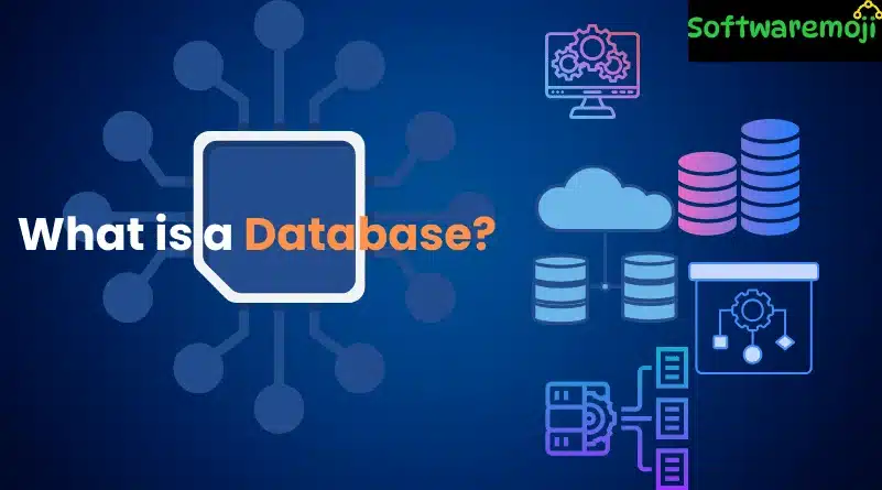 What is a Database? 